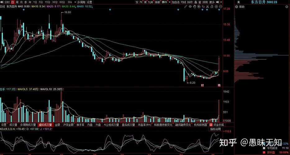 日本熟妇另类视频在线播放 5g影院天天5g天天爽